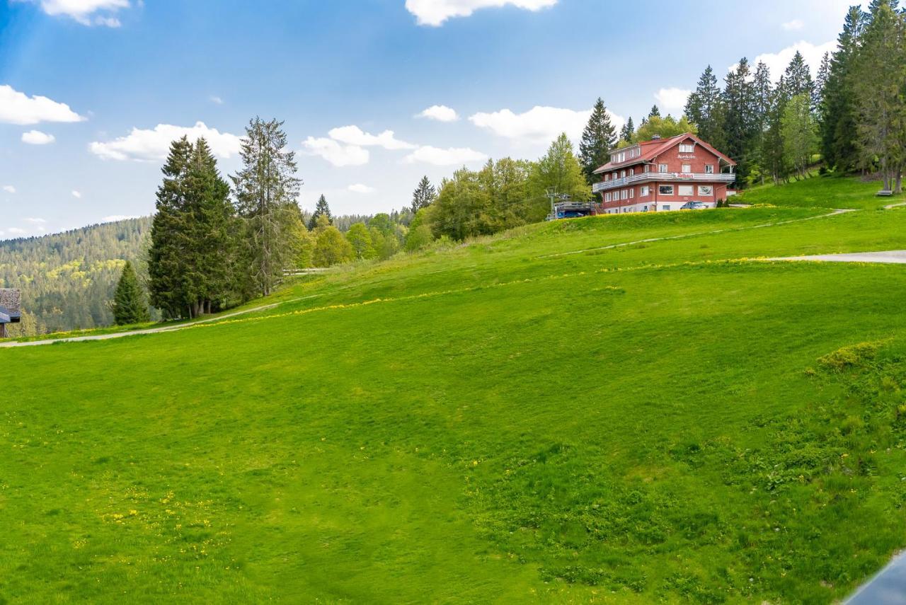 Auerhuhn Apartment Feldberg  Bagian luar foto