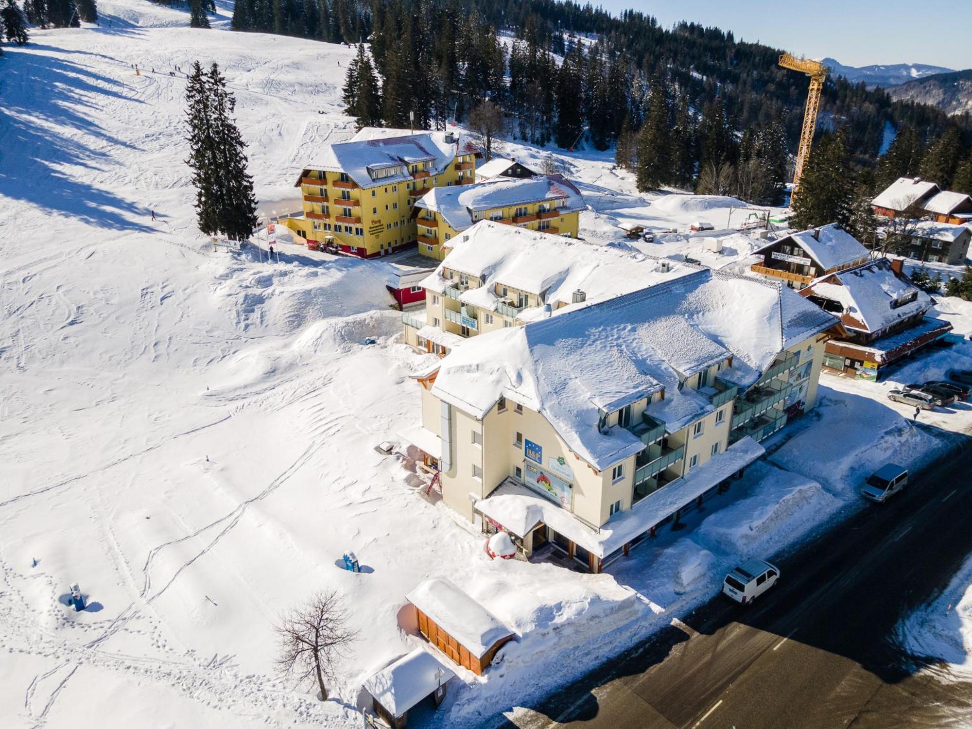 Auerhuhn Apartment Feldberg  Bagian luar foto