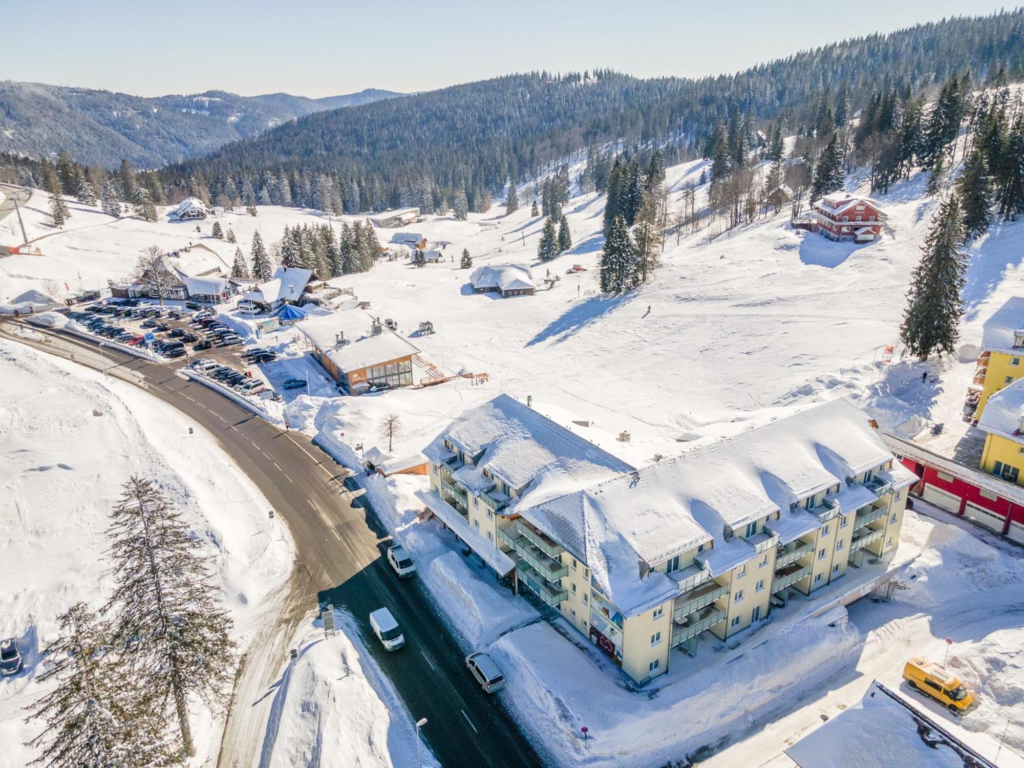 Auerhuhn Apartment Feldberg  Bagian luar foto